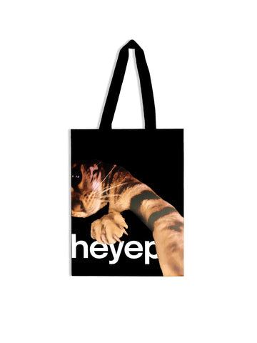 CAT Gift Bag - W 23 cm × H 30 cm × D 13 cm